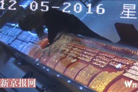 佛山一家金店20万元金饰被劫 头盔男持枪状物作案