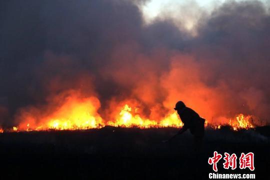 蒙古国过境大火现场。武警呼伦贝尔森林支队供图